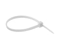 ABRACADEIRA NYLON  100X2.5MM BLISTER C/100 BRANCA VILA